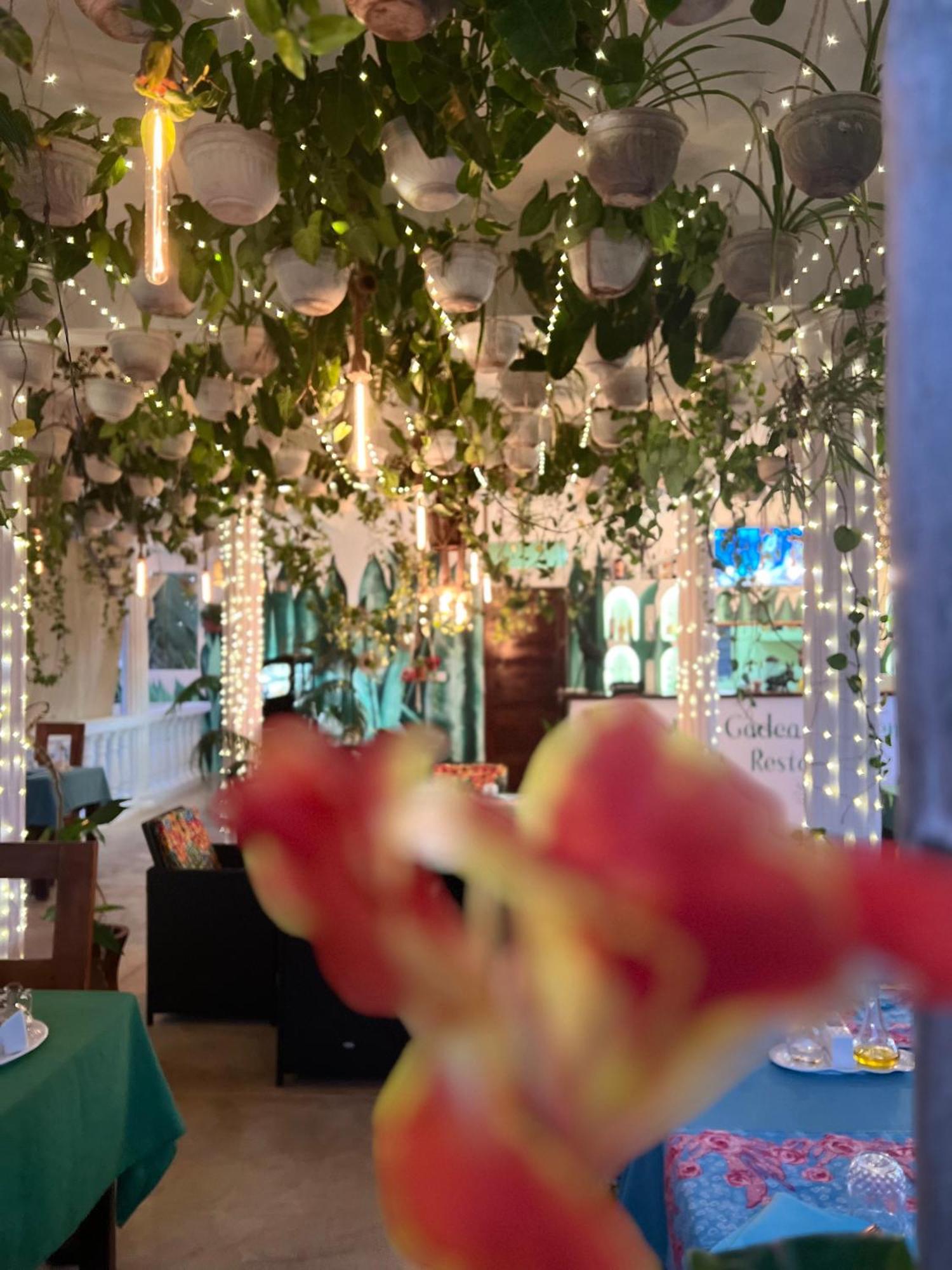Gadea Boutique Hotel& Gadea Garden Italian Restaurant (Adults Only) 江比阿 外观 照片
